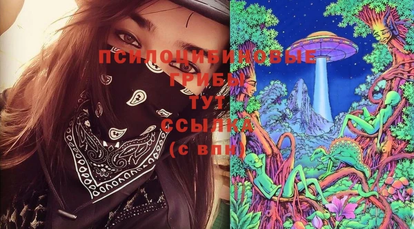 Альфа ПВП Алзамай