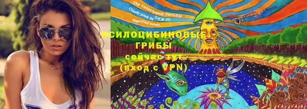 каннабис Алексеевка
