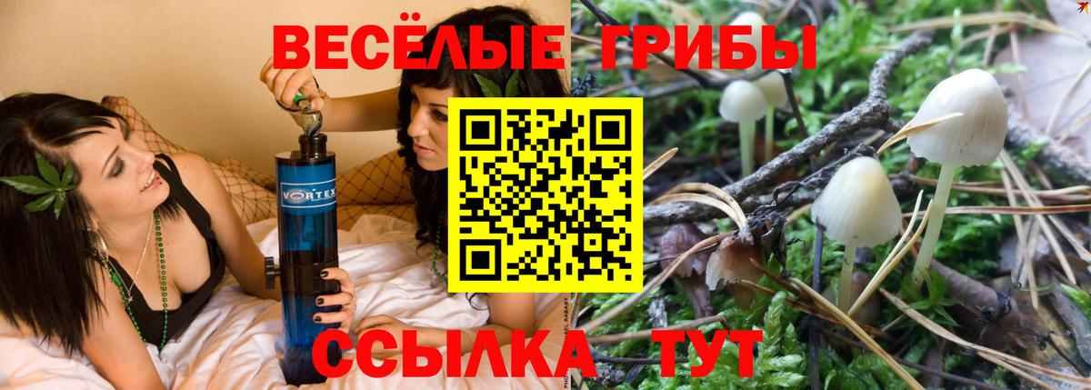 Галлюциногенные грибы GOLDEN TEACHER Дзержинский