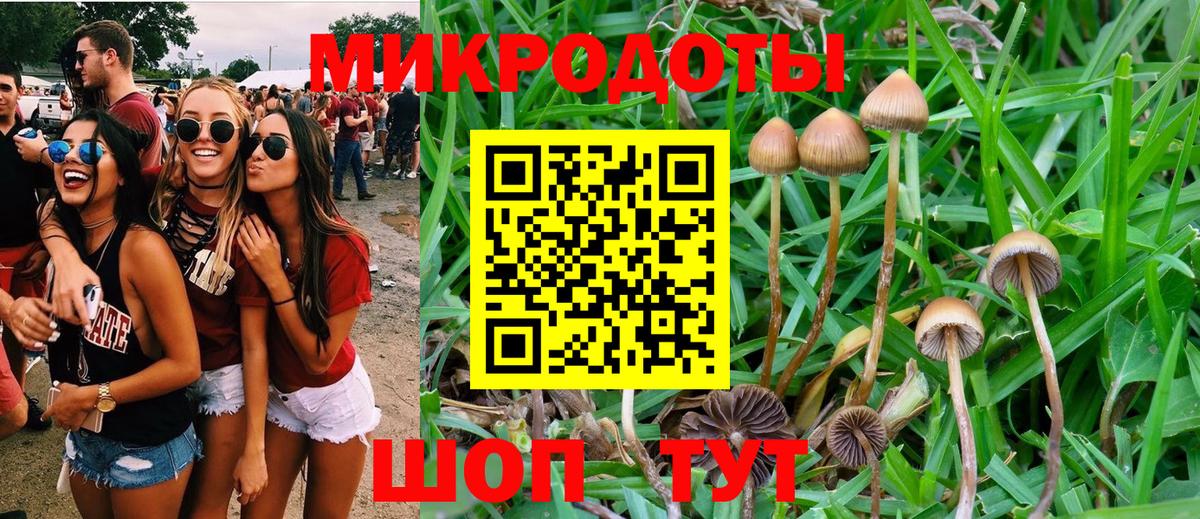 Псилоцибиновые грибы прущие грибы  Вход с VPN  Дзержинский 
